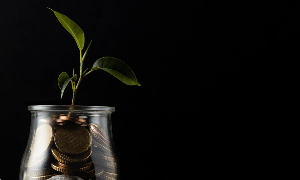  Jarrinho de vidro com moedas e uma jovem planta crescendo a partir de uma pilha de moedas, representando crescimento financeiro sustentável e economia consciente.
