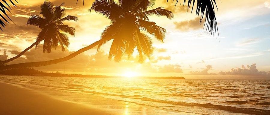 The Art of Self Reflection