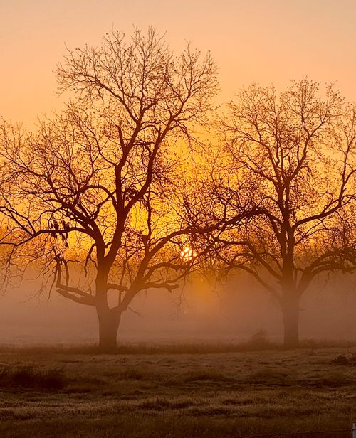 Vintage Family Picture