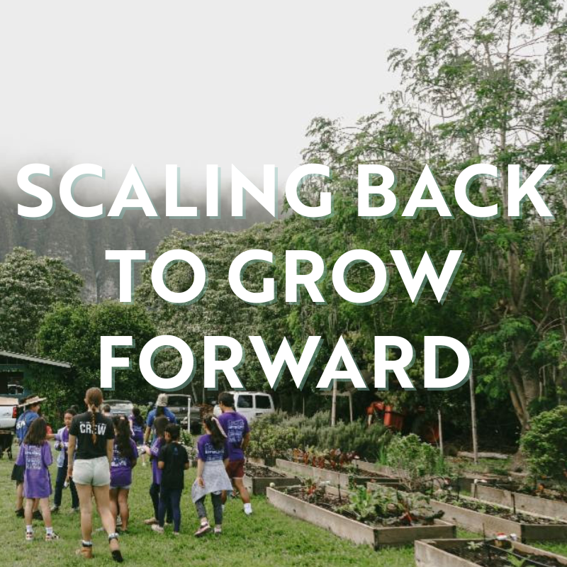 Scaling Back to Grow Forward