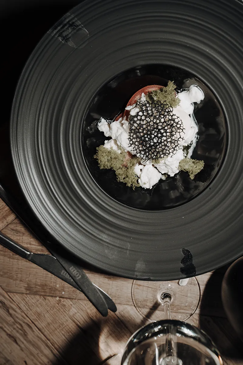 Austria Wedding Party 2025