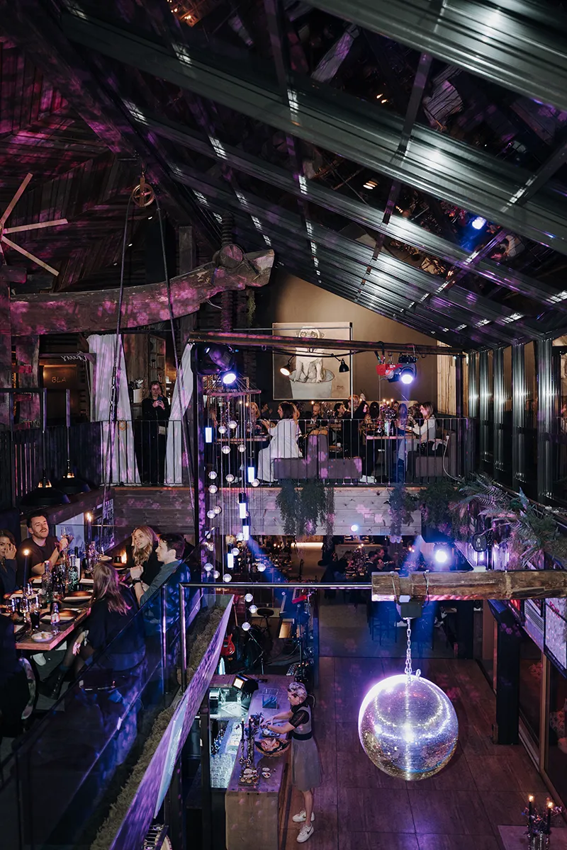 Austria Wedding Party 2025