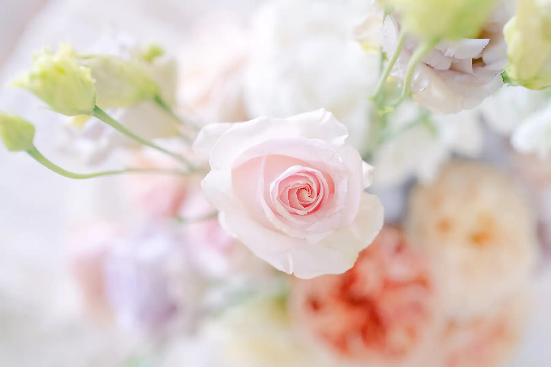 Tale as old as time: Hochzeit zwischen Fantasie & Vergangenheit