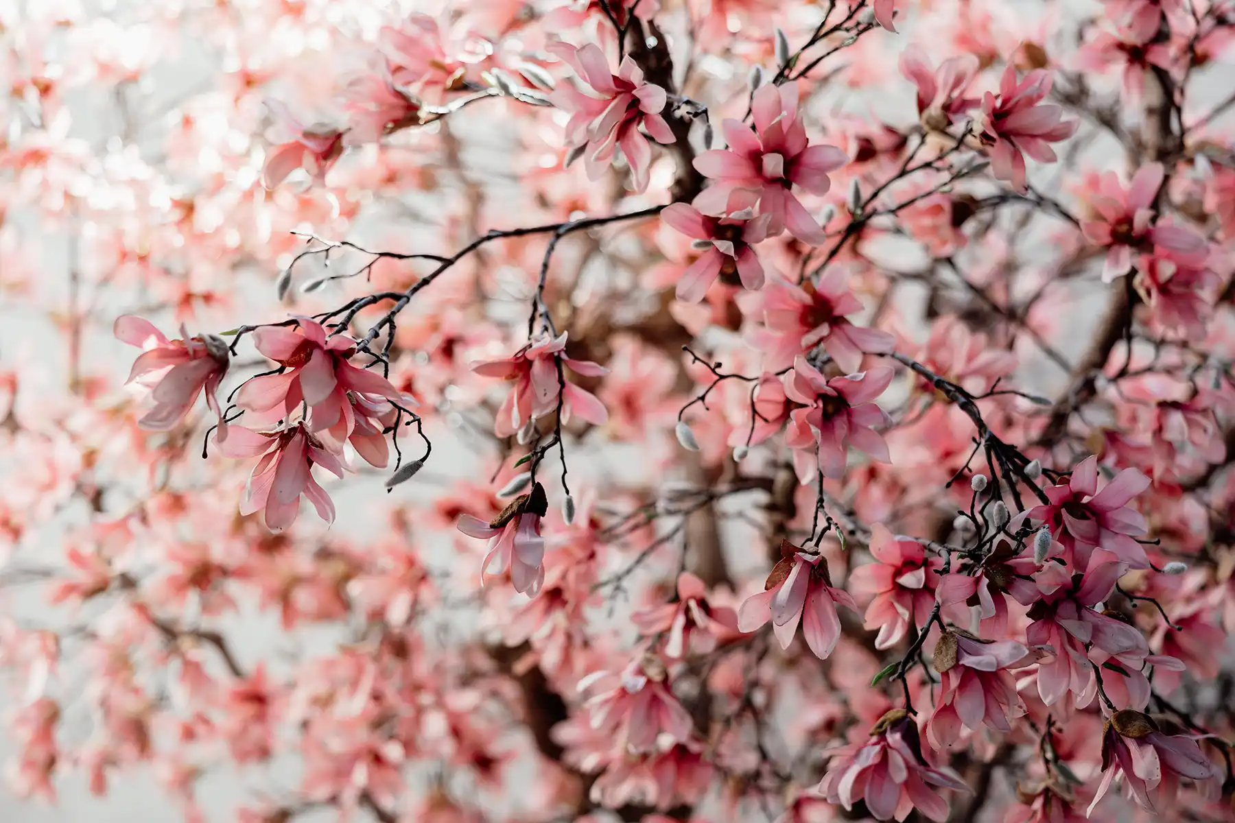 Waves of Freedom: Intime & wildromantische Hochzeit am Wasser