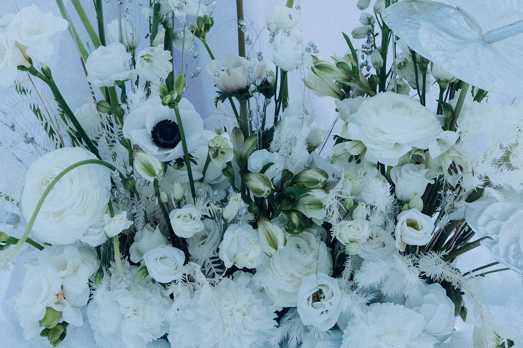 Cold Couture: Hochzeitspoesie im Schnee