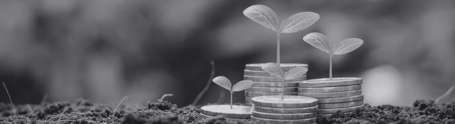 How to Finance Business Growth When the Economy Is Uncertain
