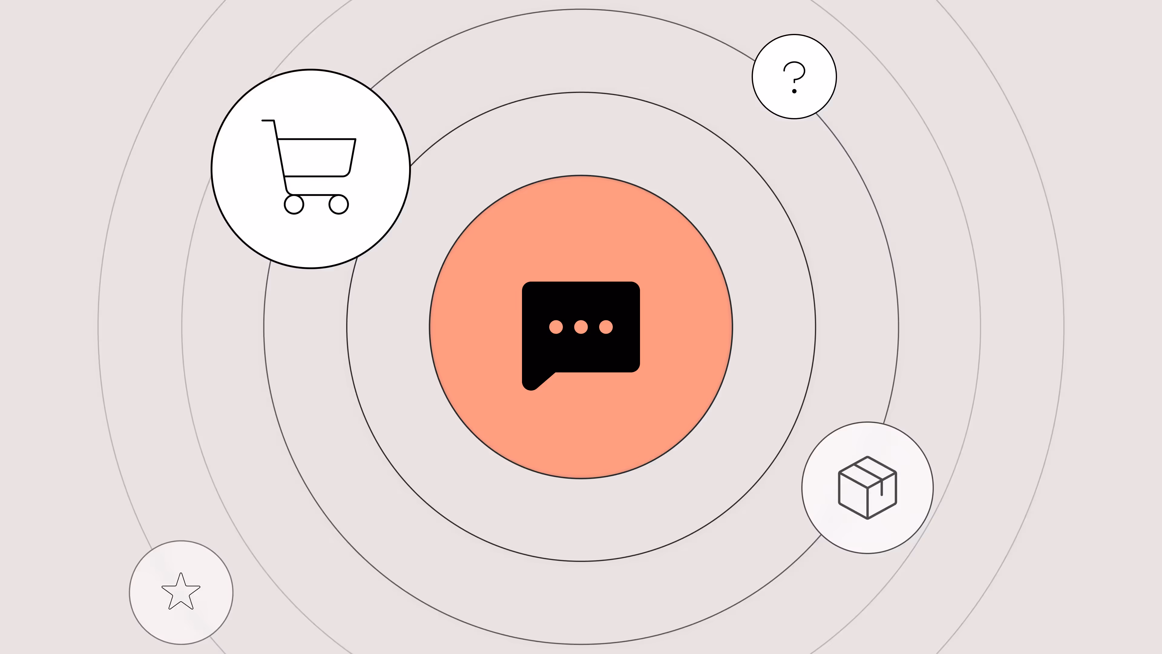 Live Chat Support