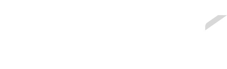 Delta Galil logo in white