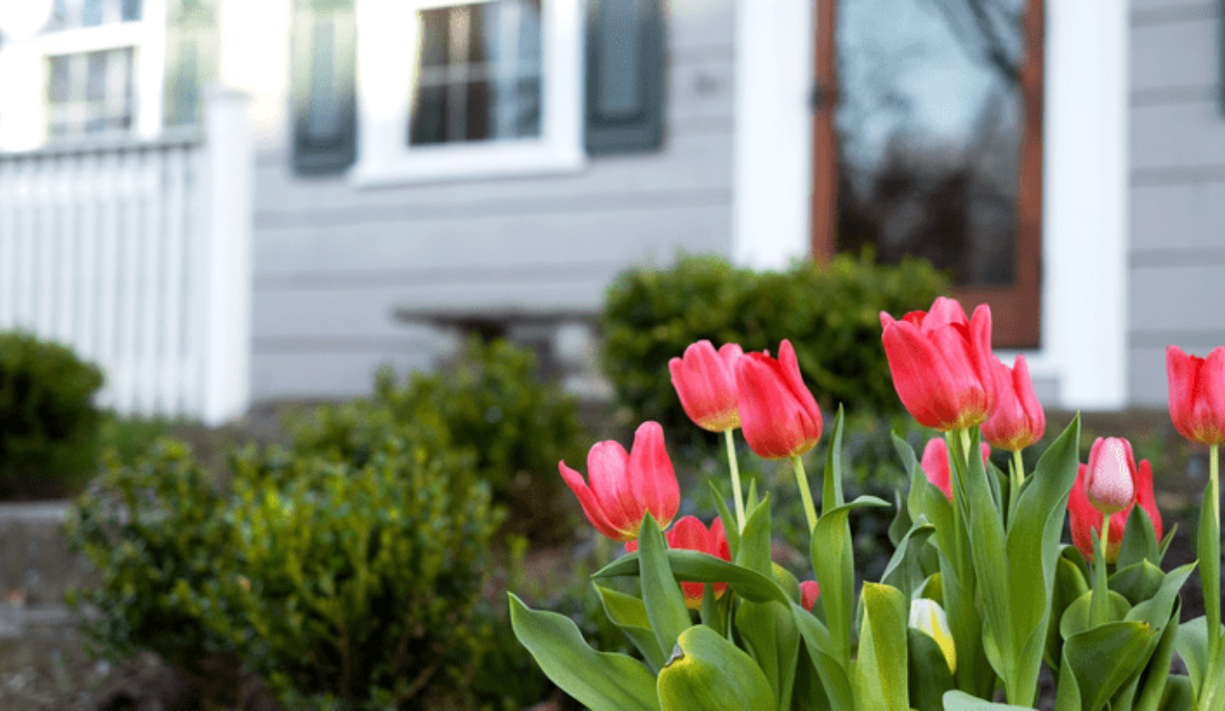 What credit score do I need to qualify?