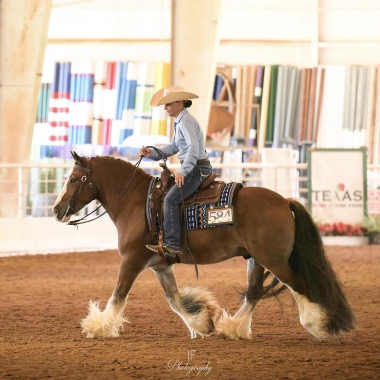 MHB Best Kept Secret "Beau"