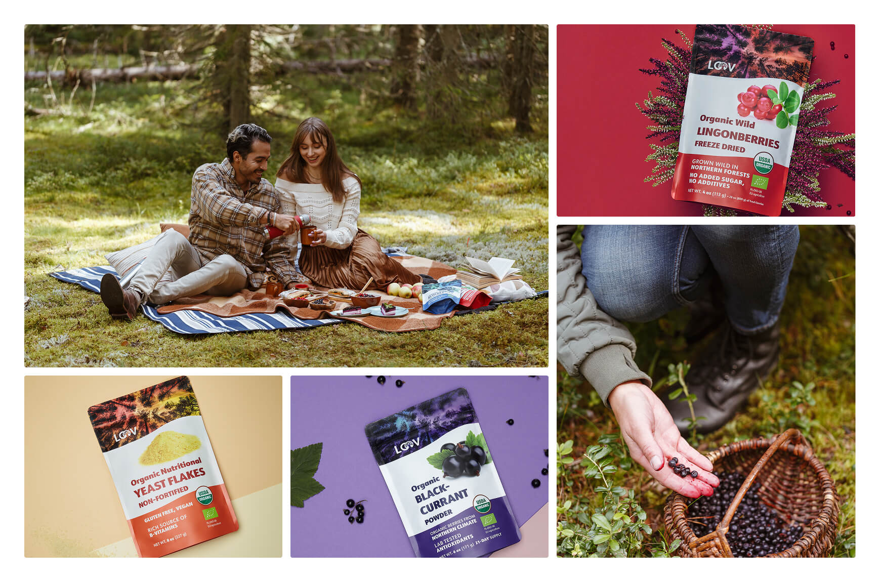 Mood board showing a mix of lifestyle photos in the forest mixed in a grid with product shots.