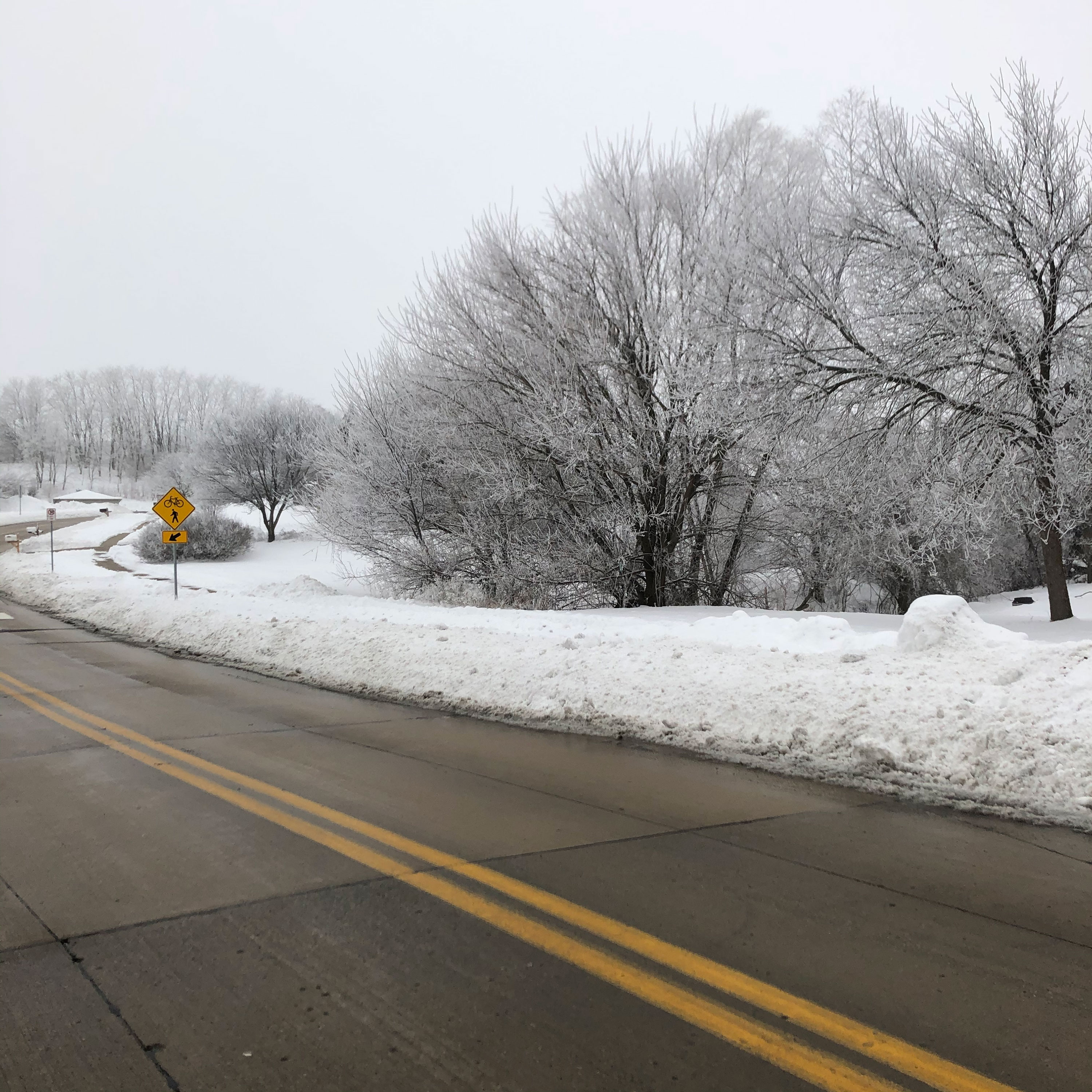 Road flanked by a snowy landscape and white sky above.