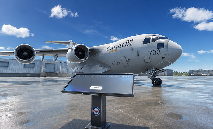 Immersive aircraft training