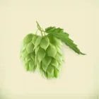 icon setor malte e bebidas logcomex