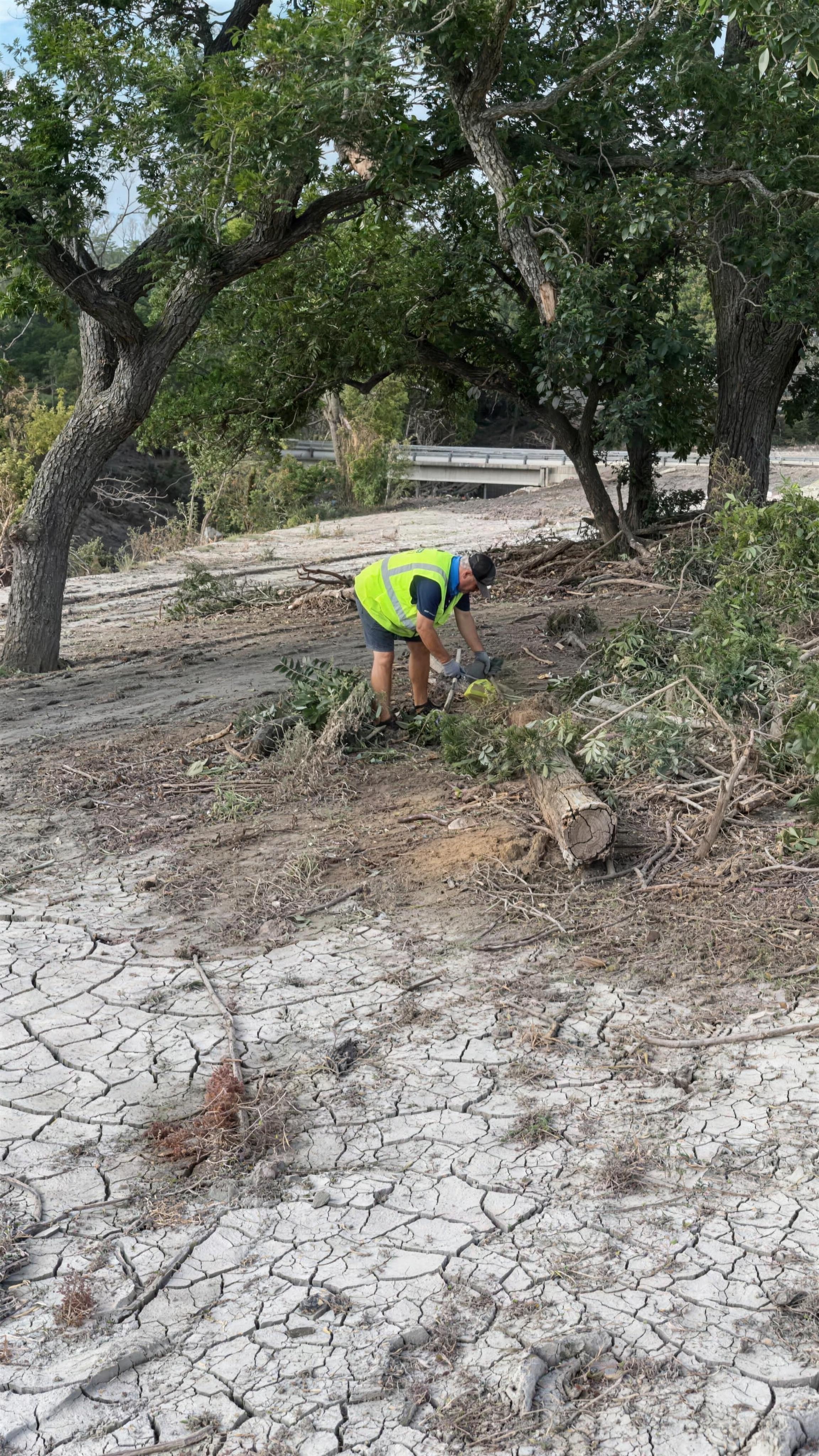 Flood-caked ground and downed limbs in the Texas Hill Country