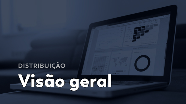 Visão Geral - Thunders Distribuição