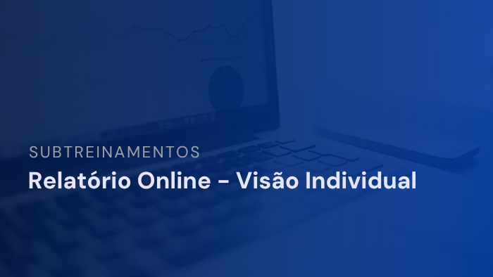 Relatório online- Visão individual 