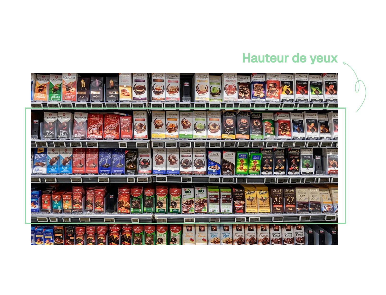 Rayon hauteur de yeux exemple