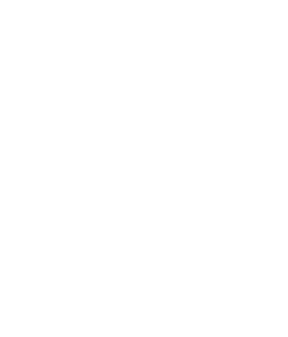 Orb