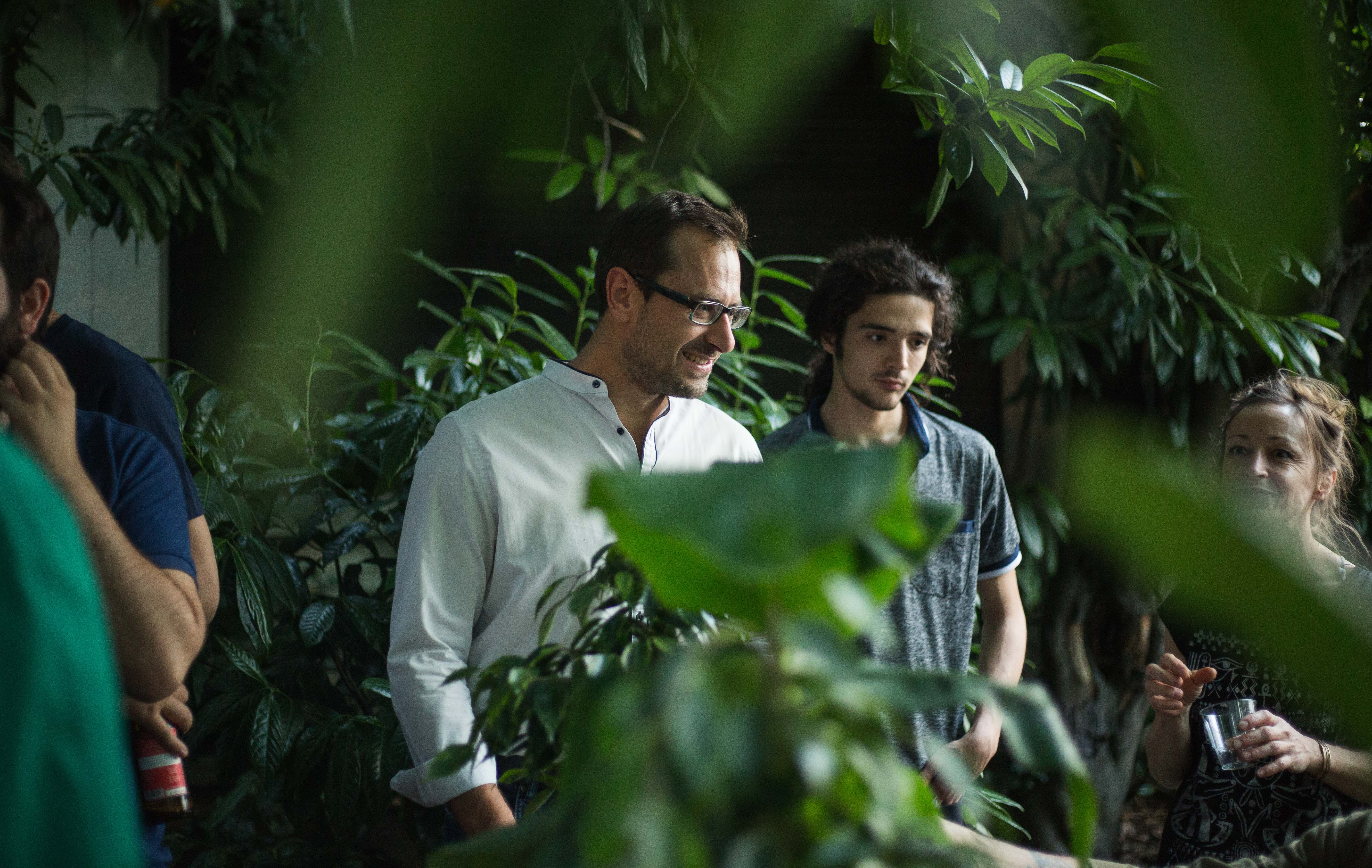 Expérience sensorielle des plantes connectées