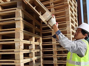 Worker Stacking Empty Pallets