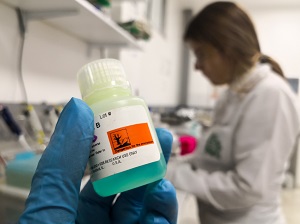 Lab worker holding up a bottle with a hazardous label on it.