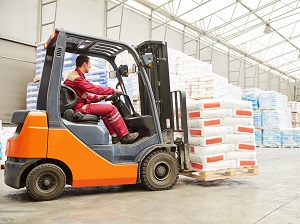 A forklift driver operating a forklift in an unsafe manner because he is not wearing a seatbelt.