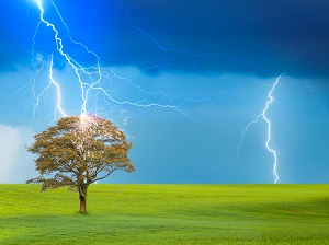 Lightning striking a tree in a meadow.