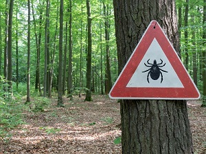 Tick Hazard Sign