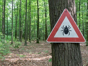 A wooded area with a sign that warns that ticks could be a danger.