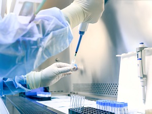 Lab worker using a biosafety cabinet.