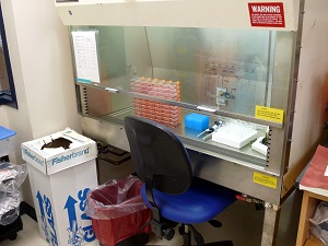 Work area in biocontainment level 2 suite.