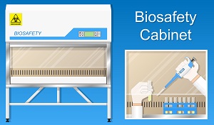 Graphic showing a representation of a biosafety cabinet.