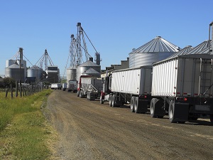 Trucks driving into a grain handling facility.