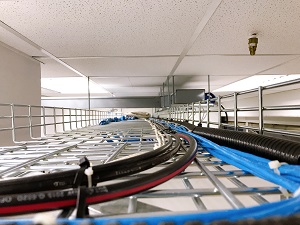 Cable trays near the ceiling with cables tied with zip ties.