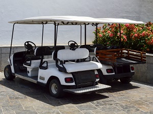 Two parked golf carts.