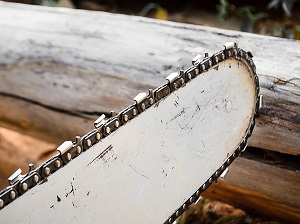 Close-up view of the chainsaw bar and chain.