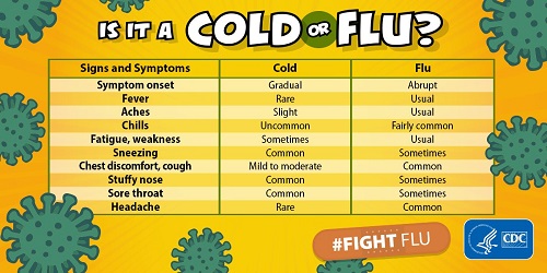 CDC Infographic Showing Differences in Signs and Symptoms of Cold and Flu