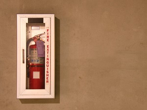 Fire Extinguisher in Wall-Mounted Cabinet