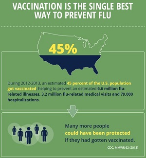 Infographic about Seasonal Flu 