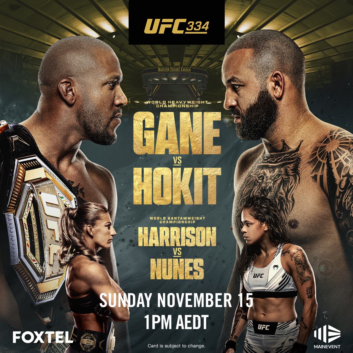 UFC 334: Gane vs Hokit