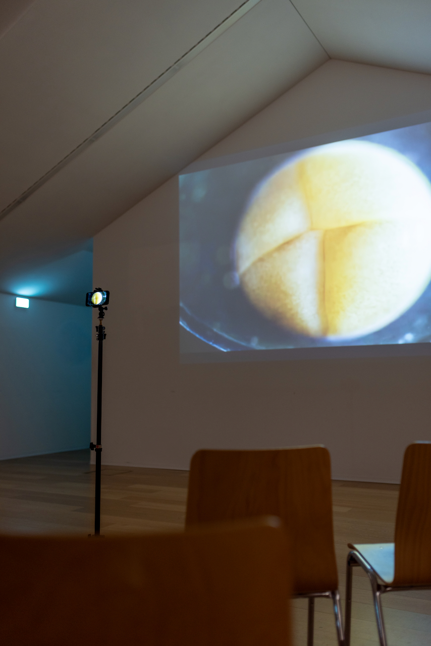 Lecture Space University of the Art Berlin