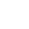 money icon
