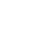 scan icon