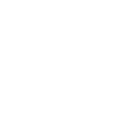 echostage logo white