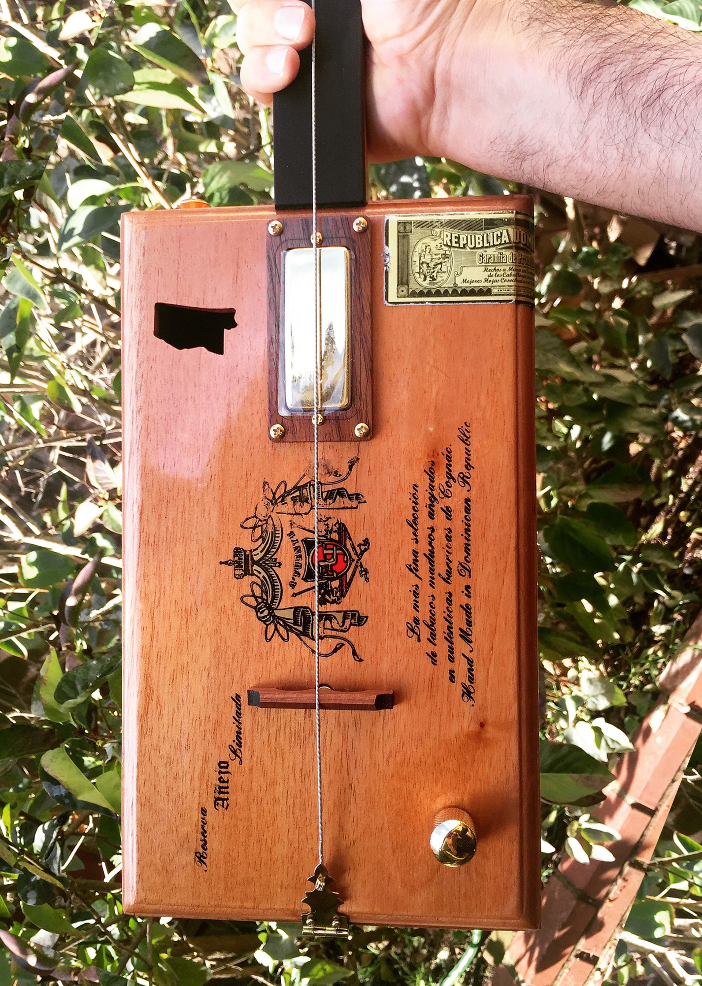 Eric Deaton Fretless One-String Custom