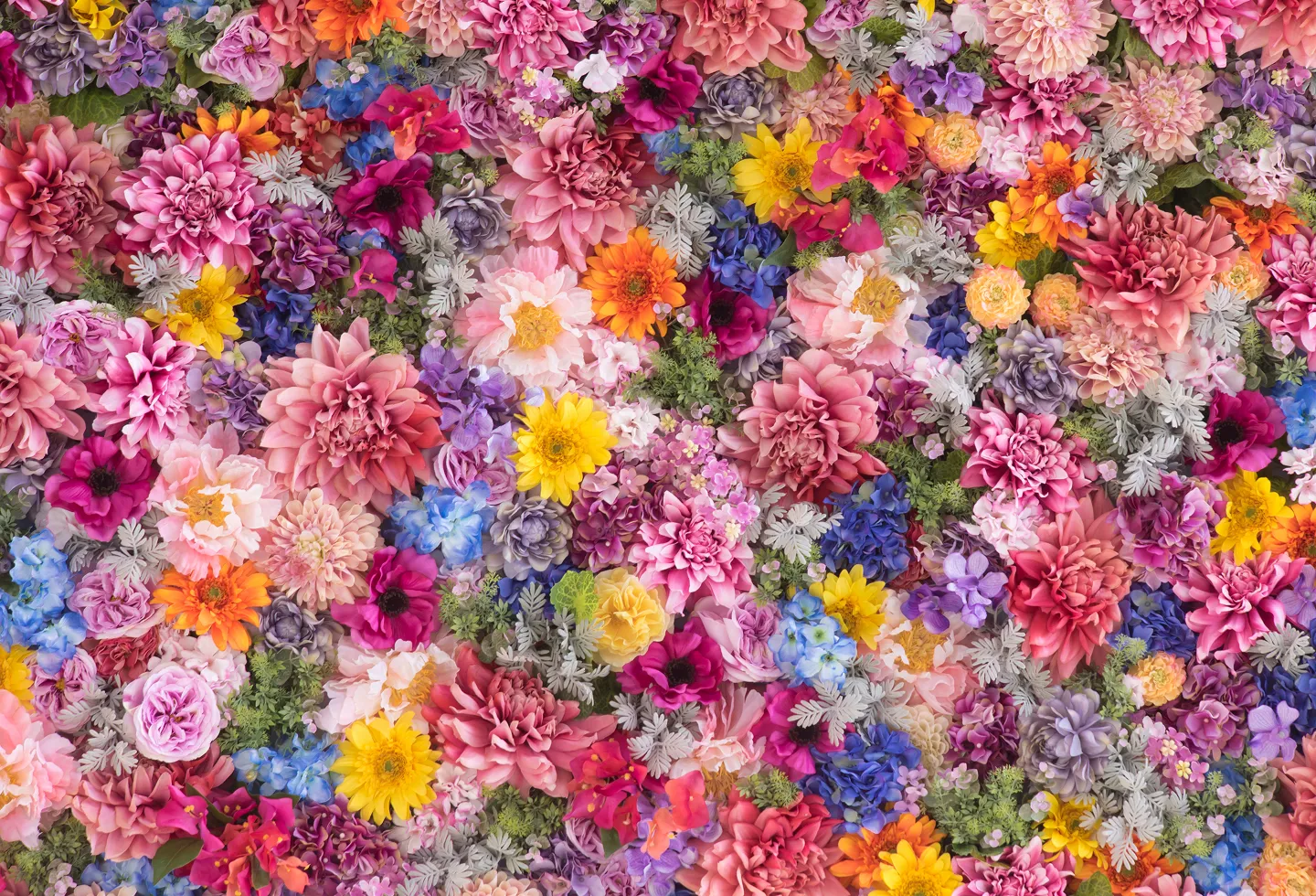 Colorful flowers representing gender affirming surgery recovery.
