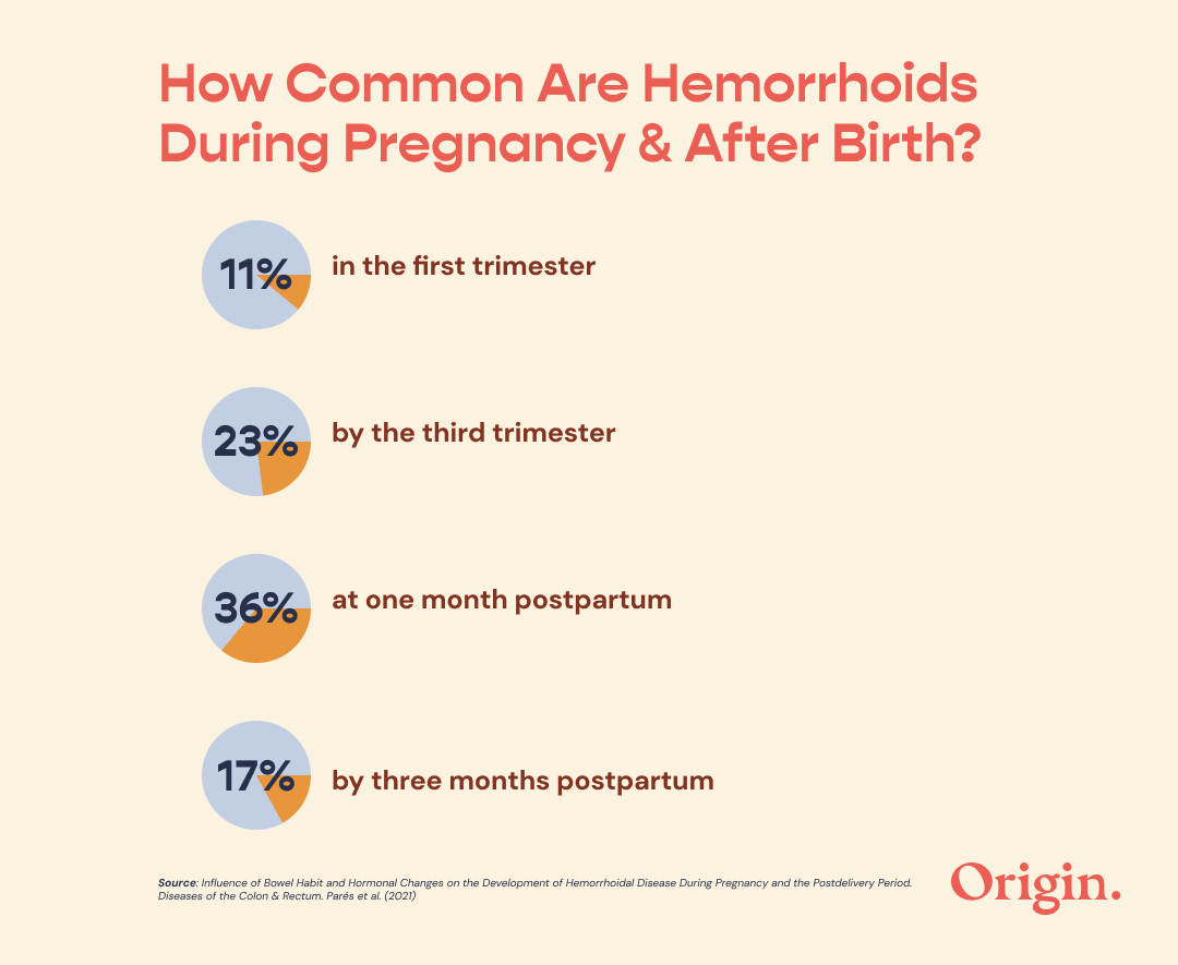How common are hemorrhoids during pregnancy and after birth? 11% had hemorrhoids in the first trimester 23% had hemorrhoids by the third trimester At one month postpartum, 36% had hemorrhoids By three months postpartum, hemorrhoid prevalence had decreased to 17%