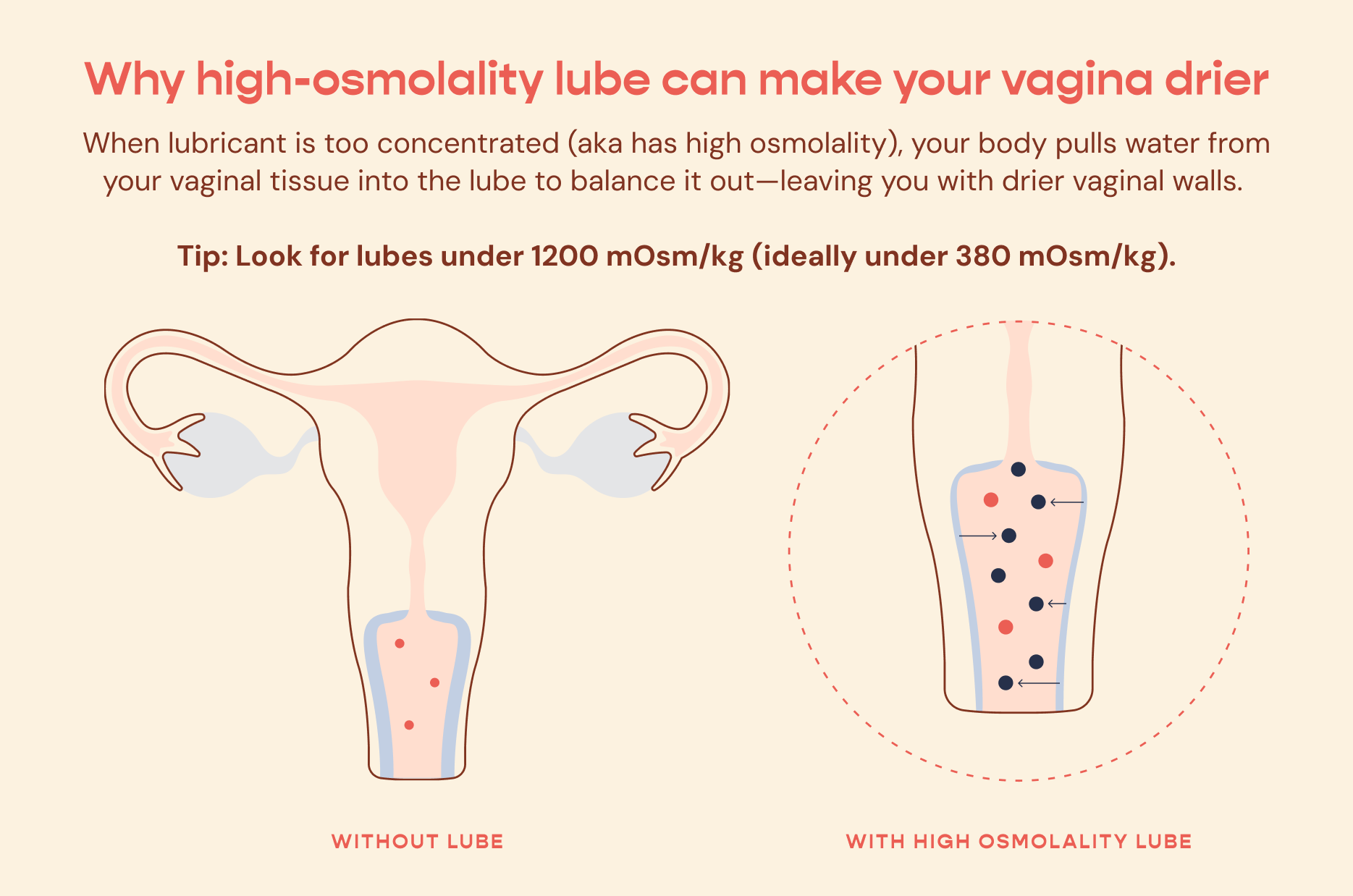 Guide to lubricant: Why high-osmolality lube can make your vagina drier: When lubricant is too concentrated (aka has high osmolality), your body pulls water from your vaginal tissue into the lube to balance it out—leaving you with drier vaginal walls. Tip: Look for lubes under 1200 mOsm/kg (ideally under 380 mOsm/kg). WITHOUT LUBE vs WITH HIGH OSMOLALITY LUBE