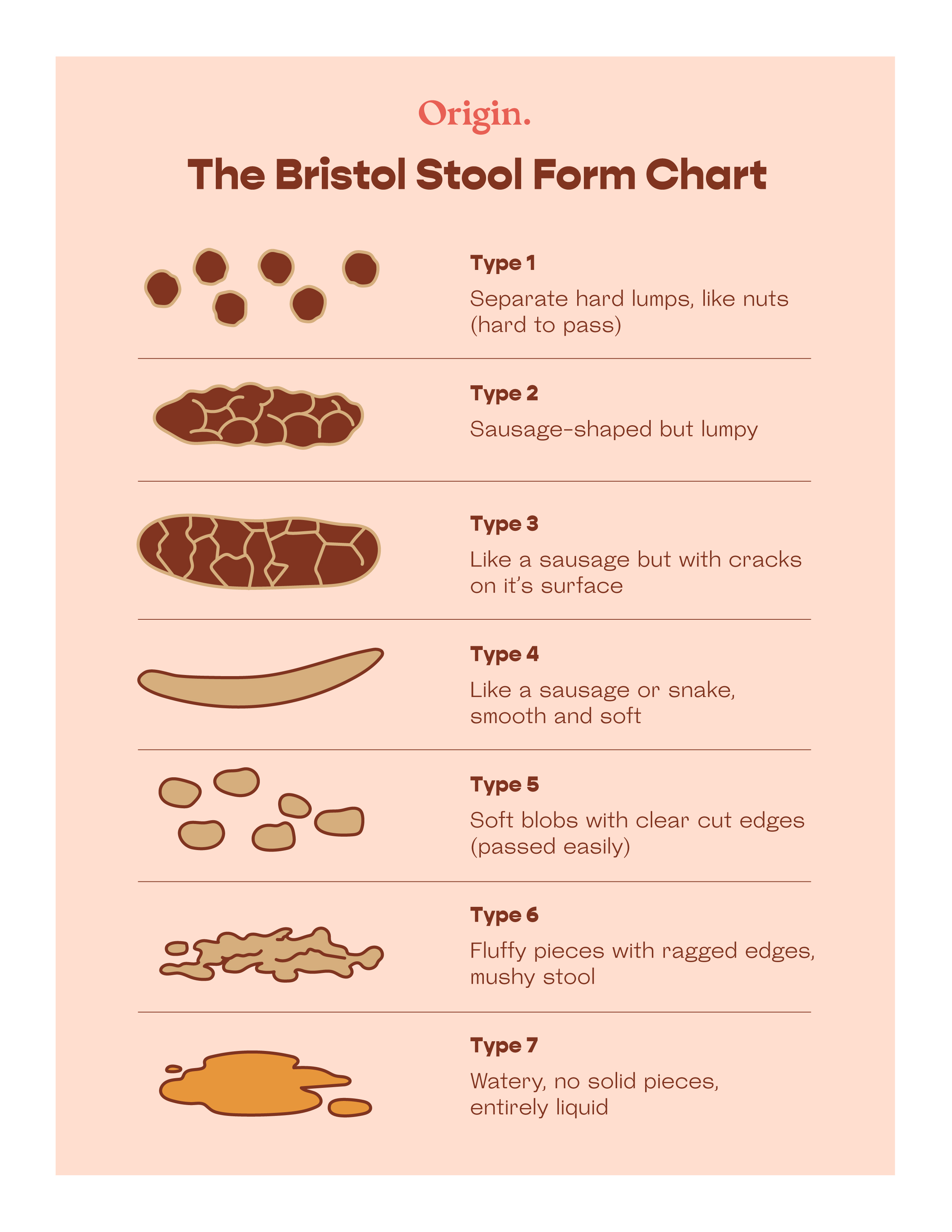 Bristol Stool Form Chart | What should your poop look like? Origin Physical Therapy